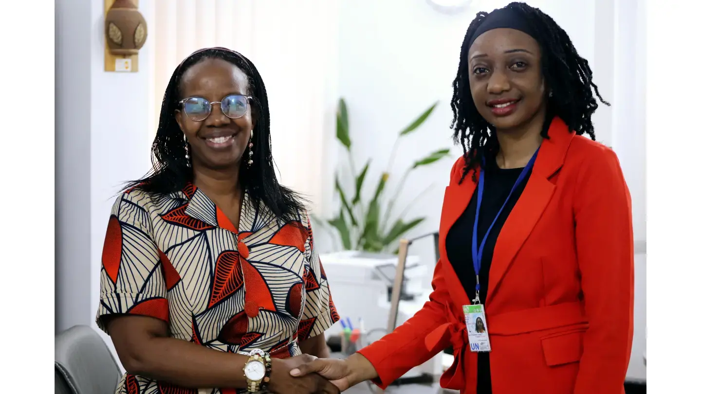 Rencontre entre l’UNFPA et le Programme VNU : Mobiliser les volontaires pour répondre aux défis actuels